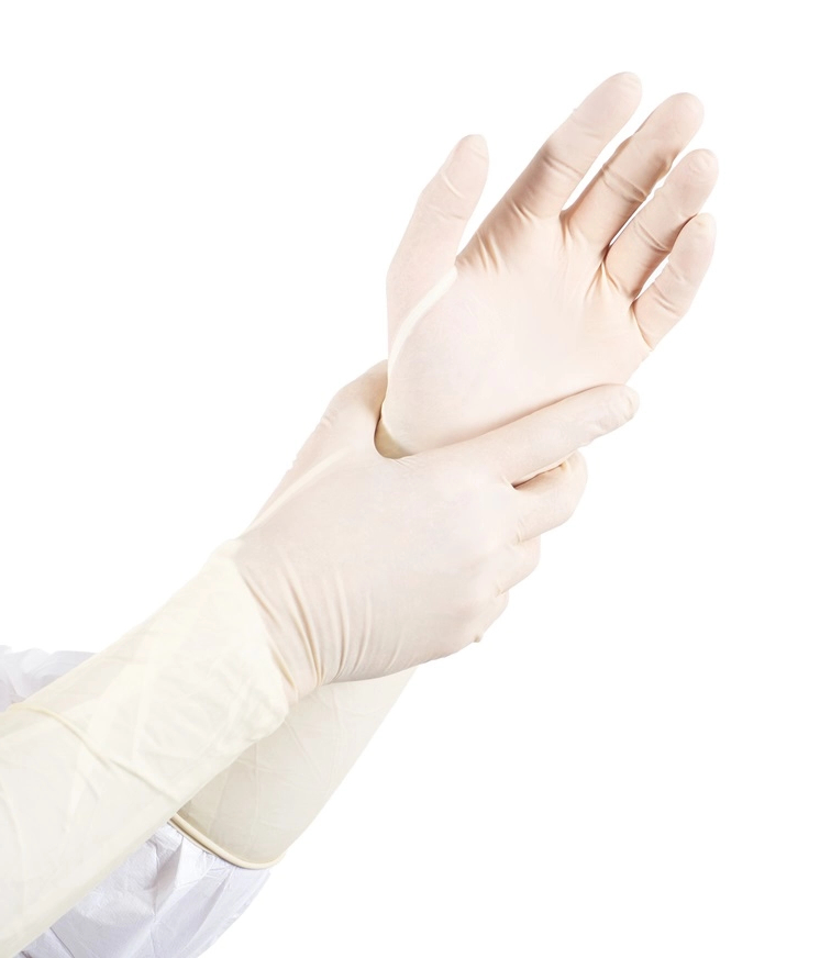 无菌氯丁橡胶手套 | 高弹耐用 | 无尘防滑 | 医疗手术与实验操作用